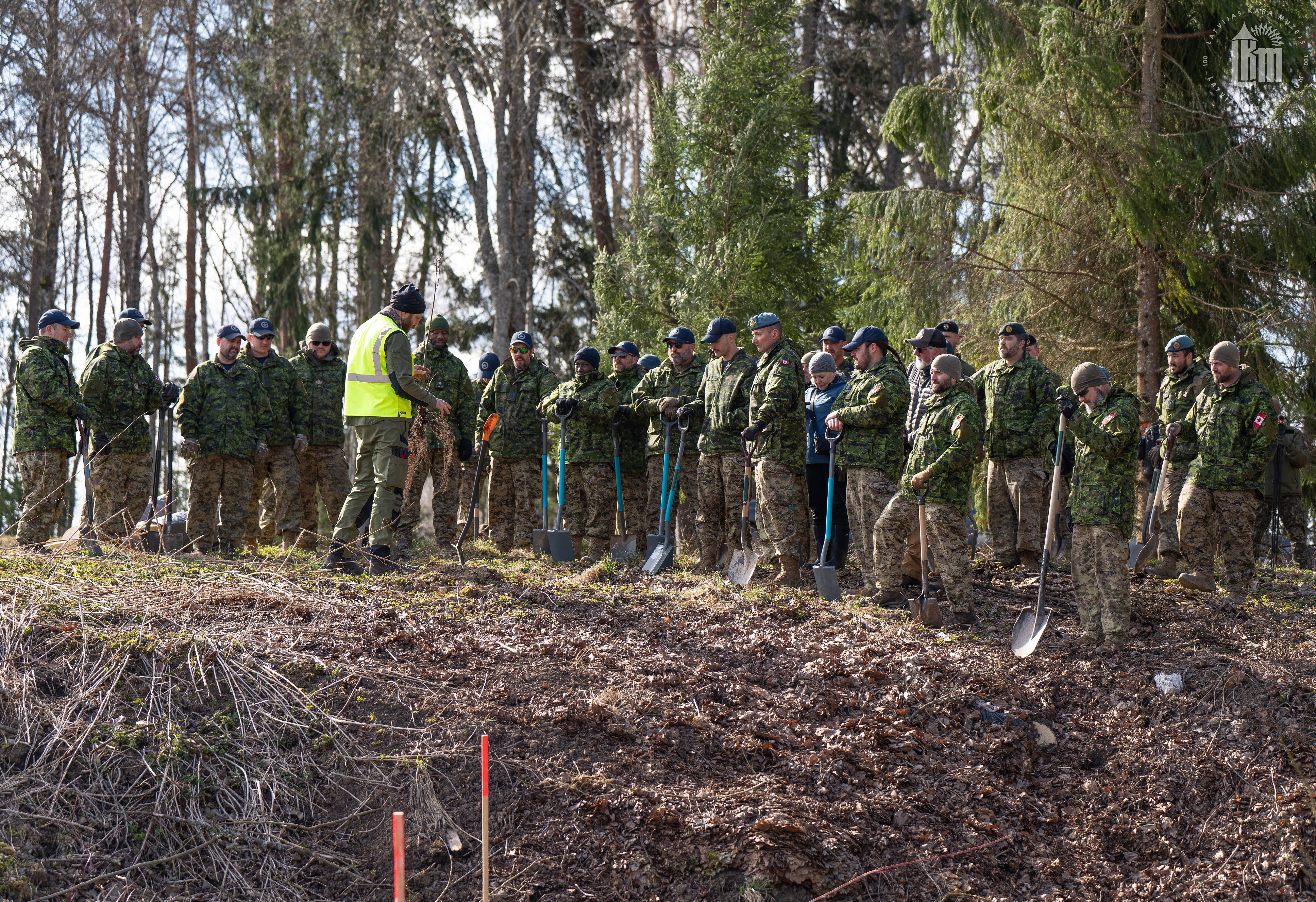 Oskara Kalpaka muzeja un piemiņas vietas “Airītes” teritorijā top jauns liepu parks