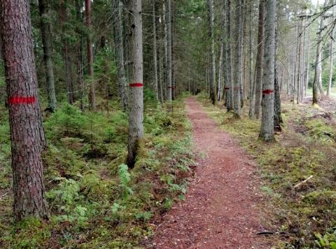 Atjaunotā_Izziņu_Taka_Ziemassvētku kauju muzejā