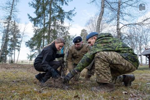 Oskara Kalpaka muzeja un piemiņas vietas “Airītes” teritorijā top jauns liepu parks